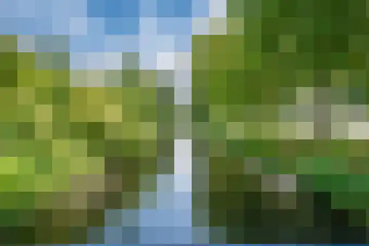 Gildemeestersplein 130 Arnhem thumbnail 32