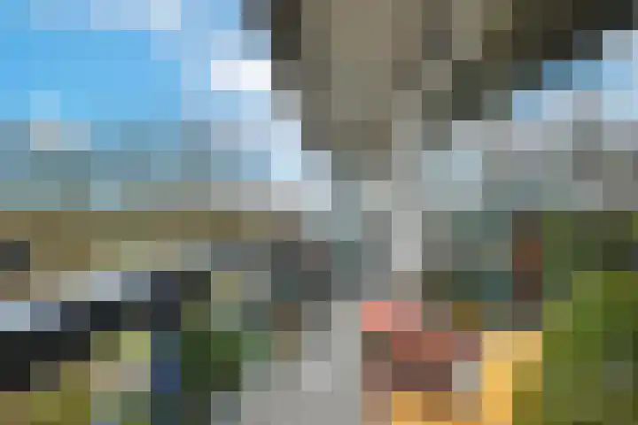 Gildemeestersplein 132 Arnhem thumbnail 28