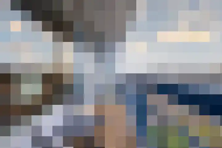 Gildemeestersplein 178 Arnhem thumbnail 25