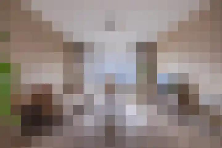 Gildemeestersplein 178 Arnhem thumbnail 8