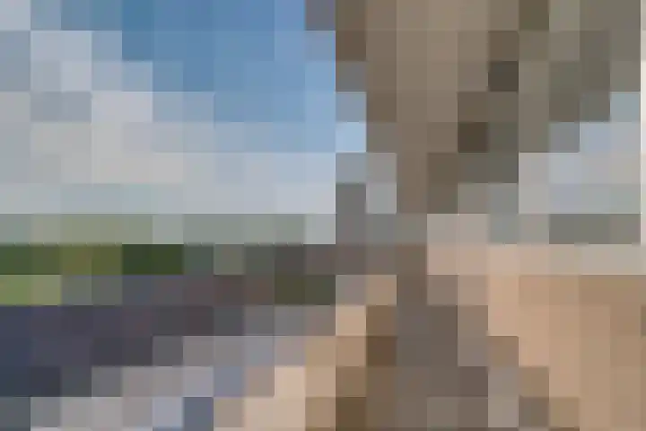 Gildemeestersplein 190 Arnhem thumbnail 18