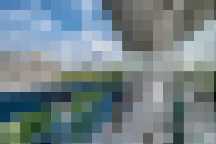 Gildemeestersplein 190 Arnhem thumbnail 34
