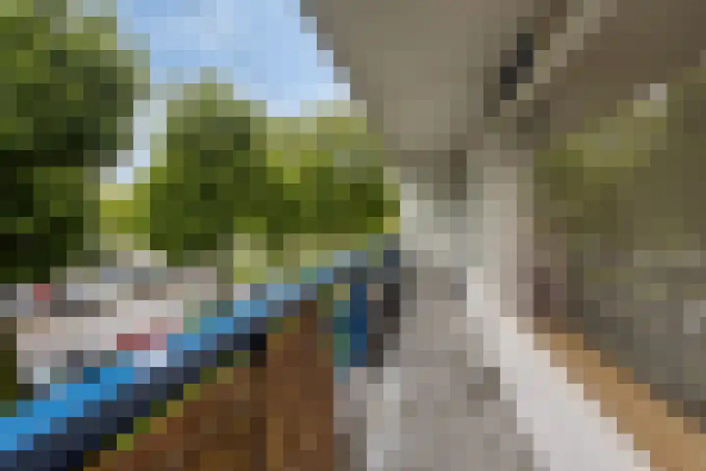 Gildemeestersplein 34 Arnhem thumbnail 10