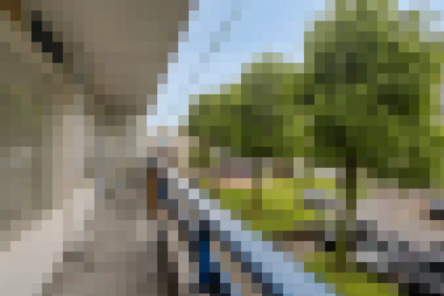 Gildemeestersplein 34 Arnhem thumbnail 11