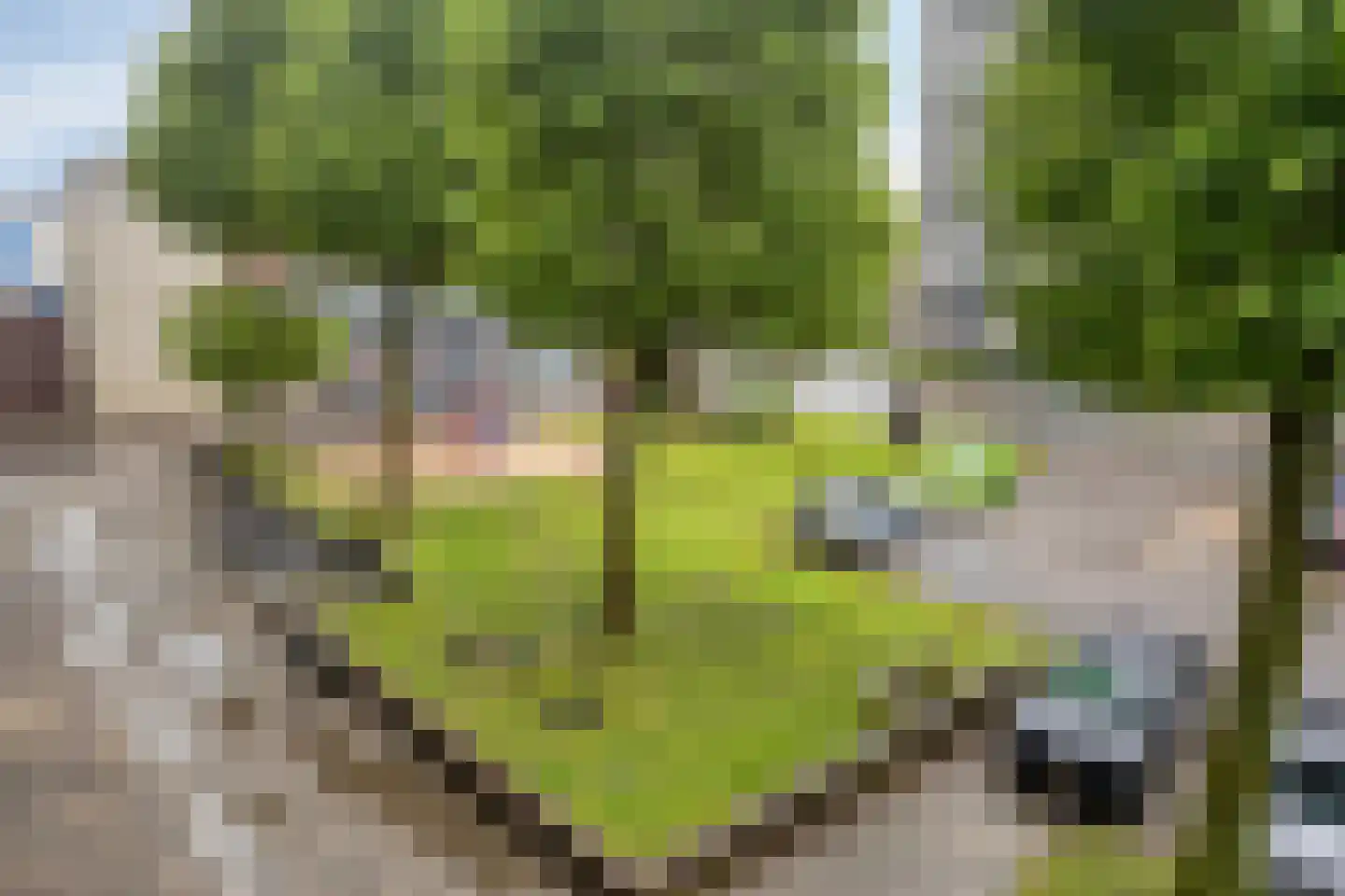 Gildemeestersplein 34 Arnhem thumbnail 26