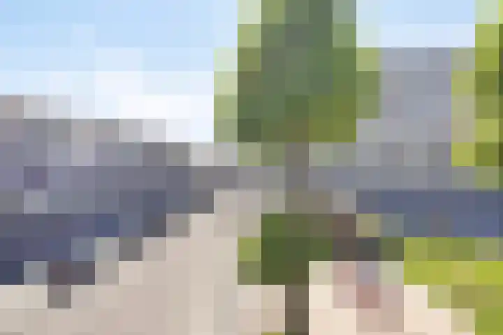 Gildemeestersplein 42 Arnhem thumbnail 20