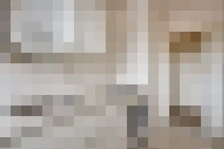 Gildemeestersplein 72 Arnhem thumbnail 10