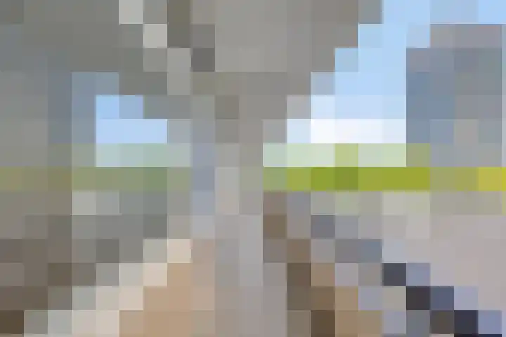 Gildemeestersplein 78 Arnhem thumbnail 23
