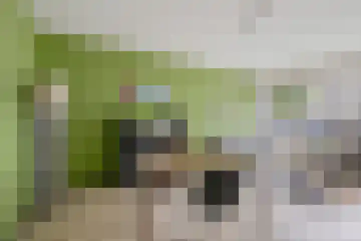 Gildemeestersplein 8 Arnhem thumbnail 14
