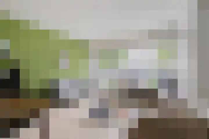 Gildemeestersplein 8 Arnhem thumbnail 15