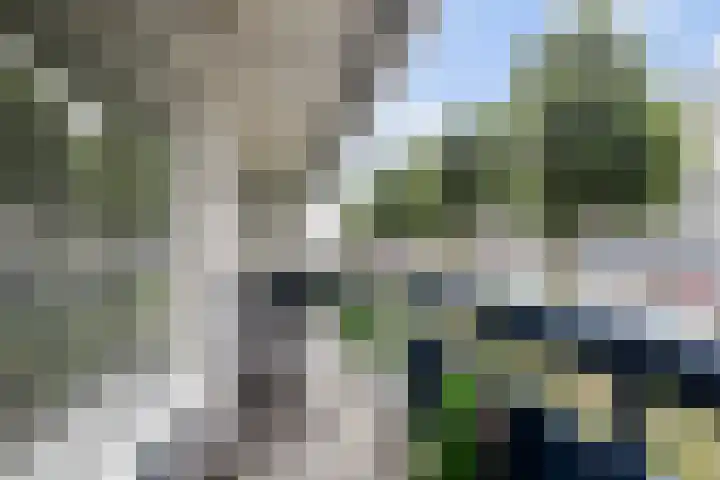 Gildemeestersplein 8 Arnhem thumbnail 17