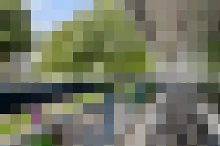 Gildemeestersplein 8 Arnhem thumbnail 18