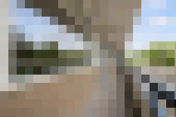 Gildemeestersplein 8 Arnhem thumbnail 9