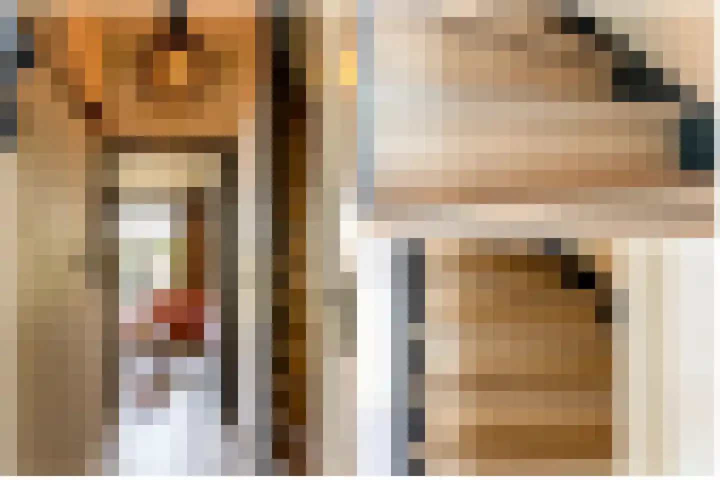 Gildemeestersstraat 3 Schoonhoven thumbnail 24