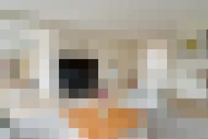 Gildenborch 12 Vianen thumbnail 7