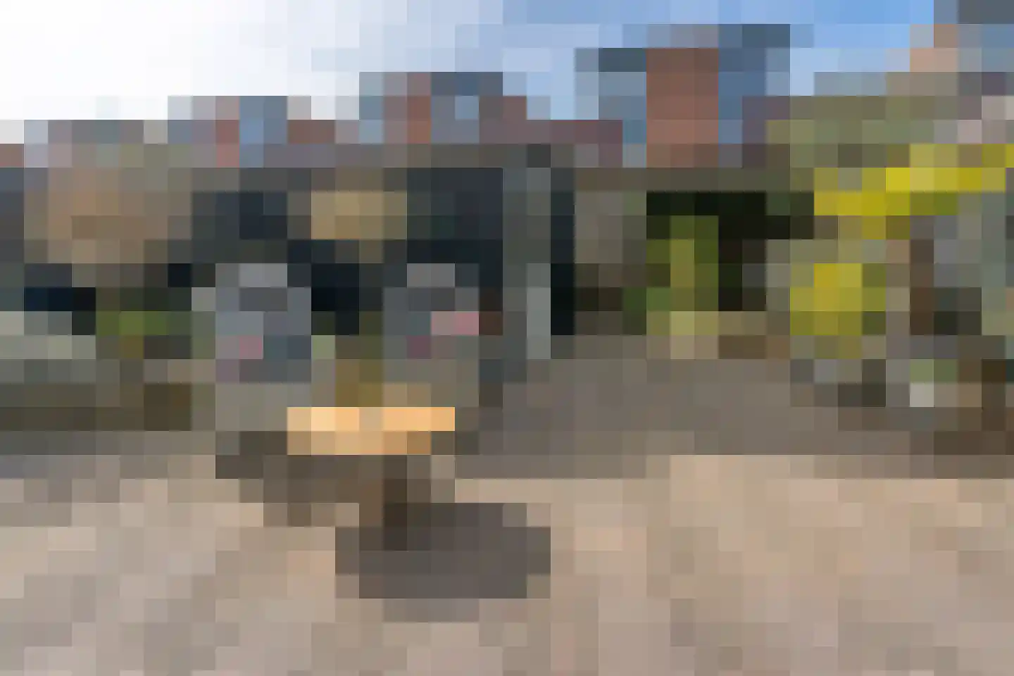 Gildenborch 15 Vianen thumbnail 13