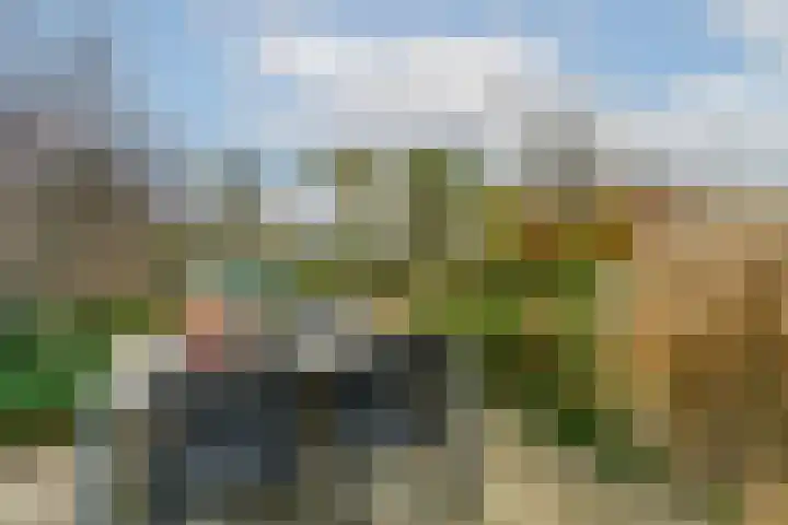Gildenborch 18 Vianen thumbnail 43