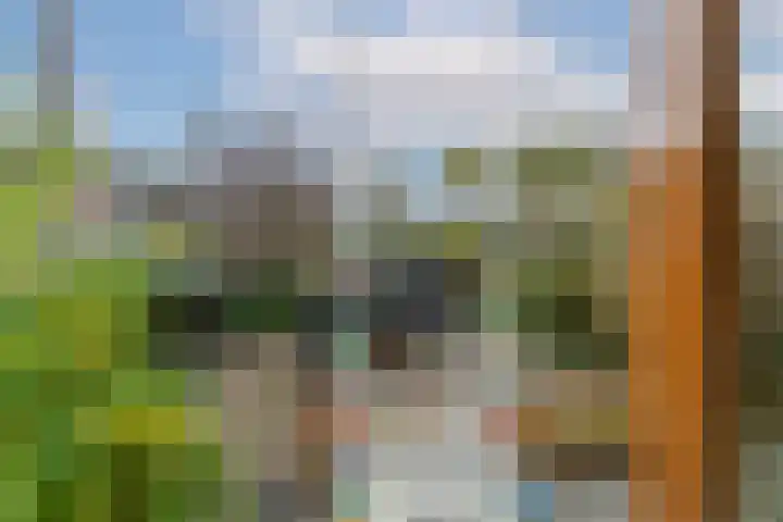 Gildenborch 18 Vianen thumbnail 44