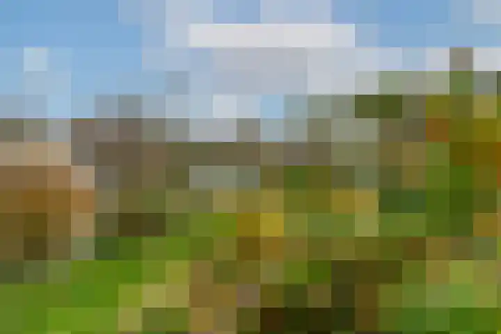 Gildenborch 18 Vianen thumbnail 46