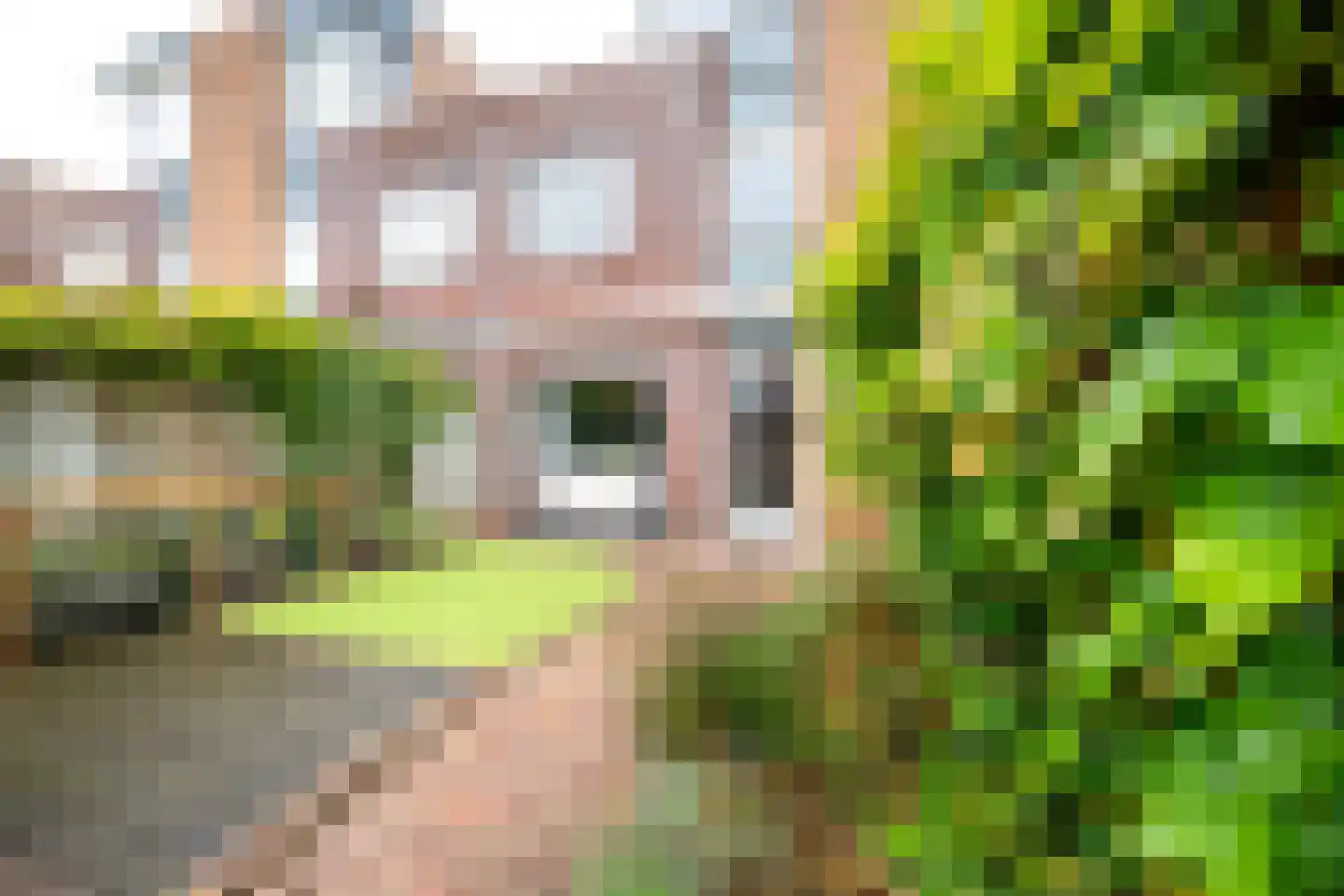 Gildenborch 21 Vianen thumbnail 25
