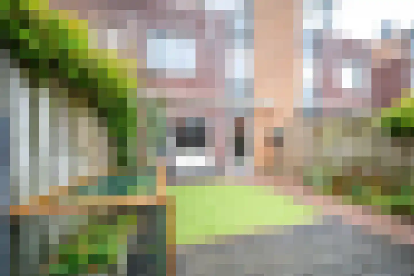 Gildenborch 21 Vianen thumbnail 27