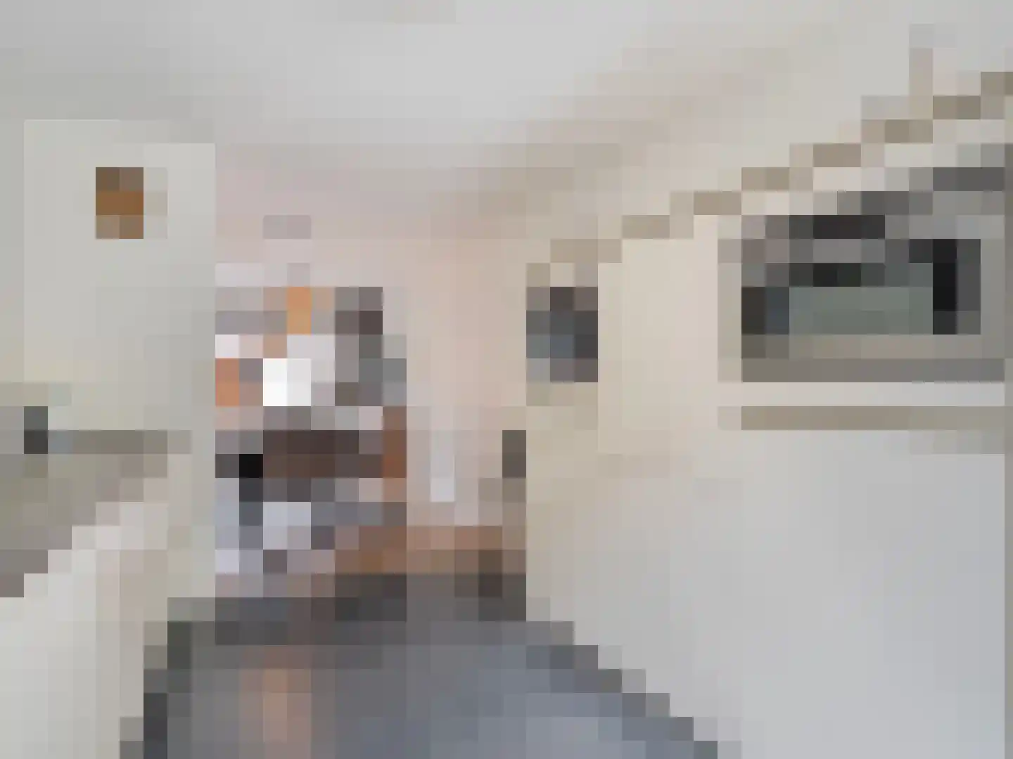 Gildenborch 9 Vianen thumbnail 13
