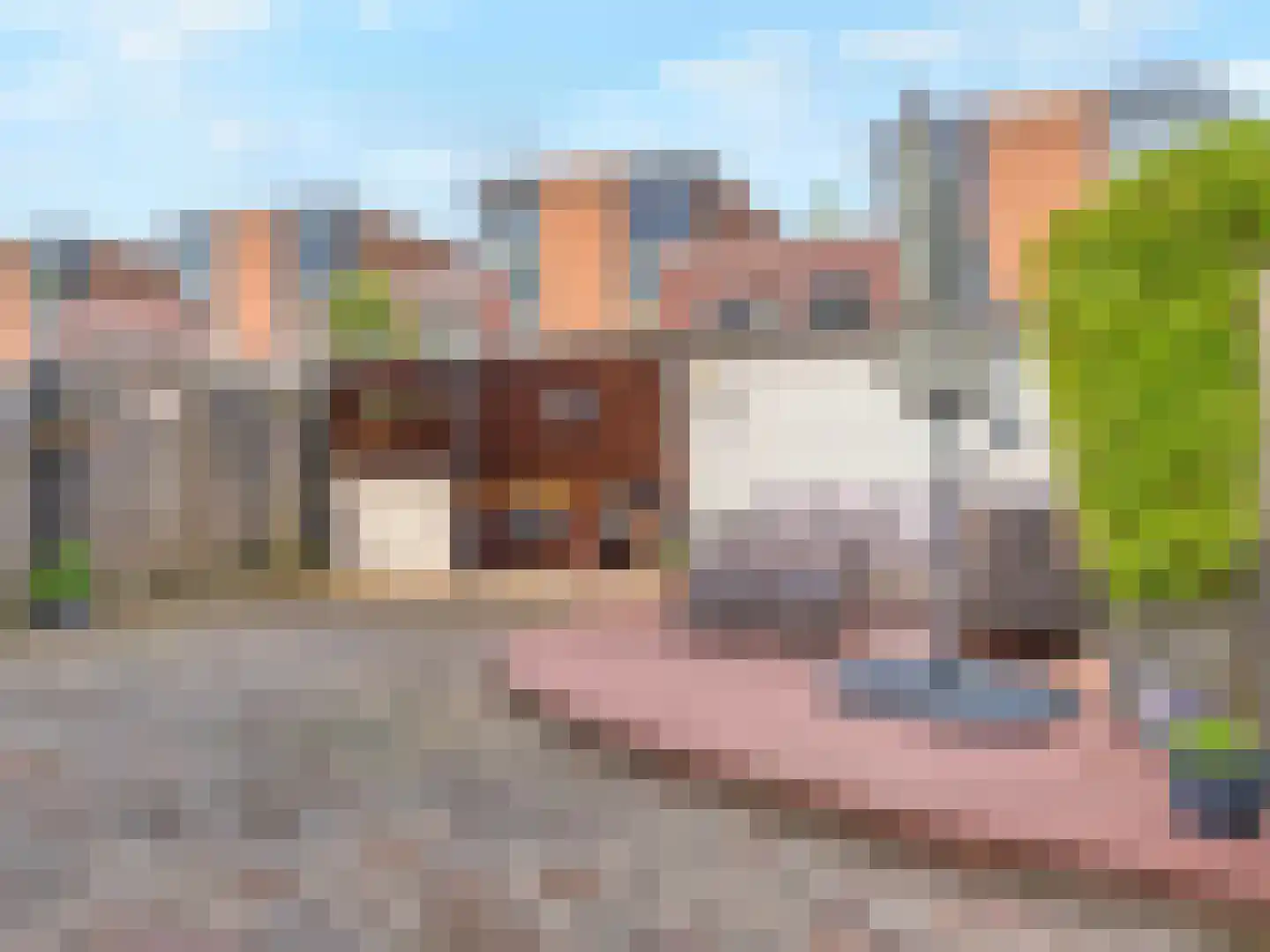 Gildenborch 9 Vianen thumbnail 20
