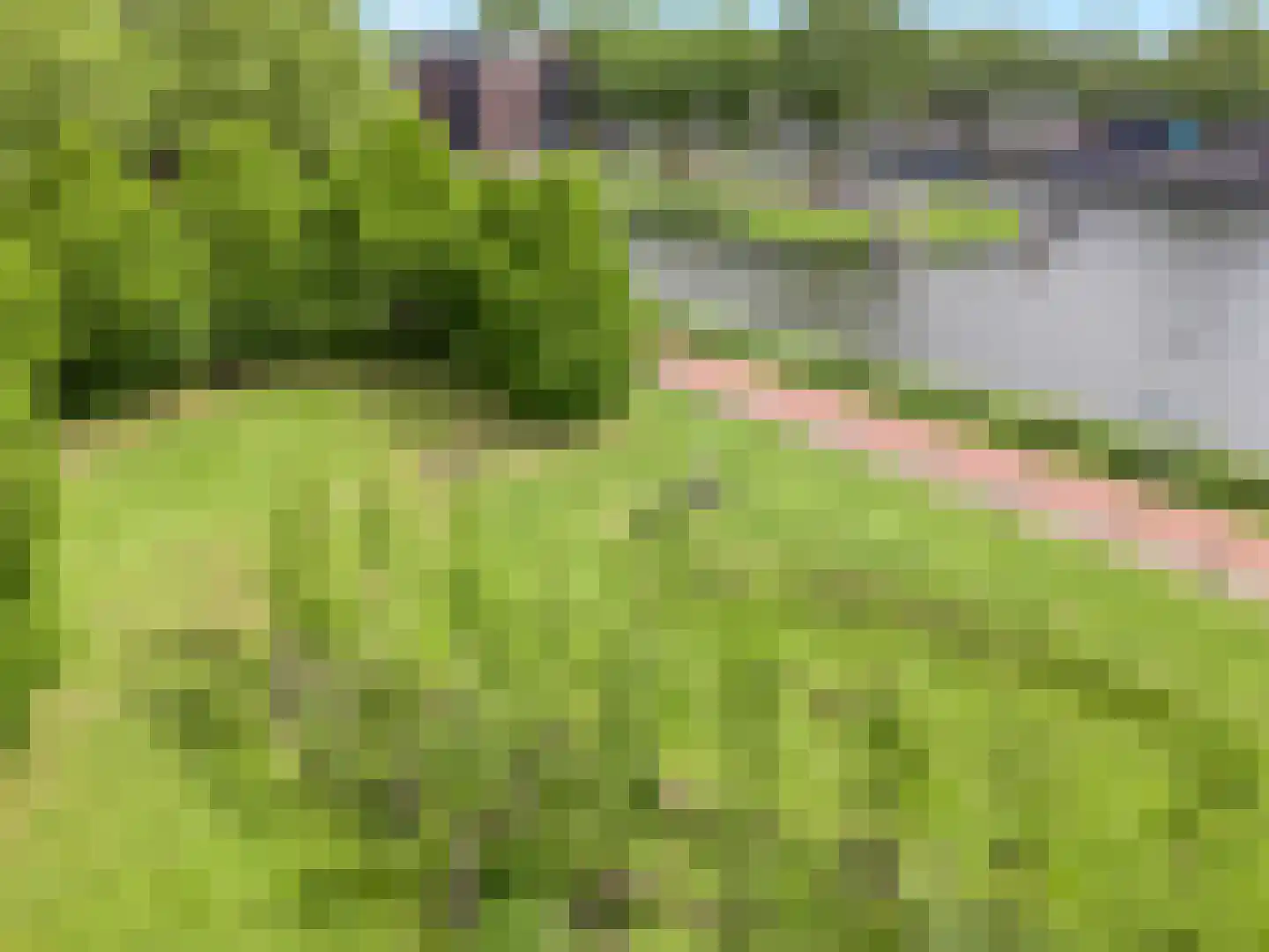 Gildenborch 9 Vianen thumbnail 43
