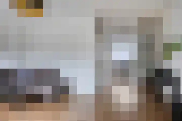 Gildenburg 204 Deventer thumbnail 16