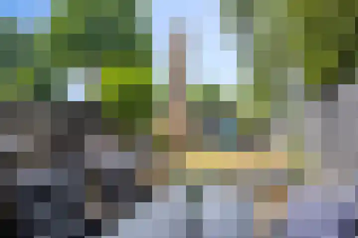 Gildenburg 204 Deventer thumbnail 9