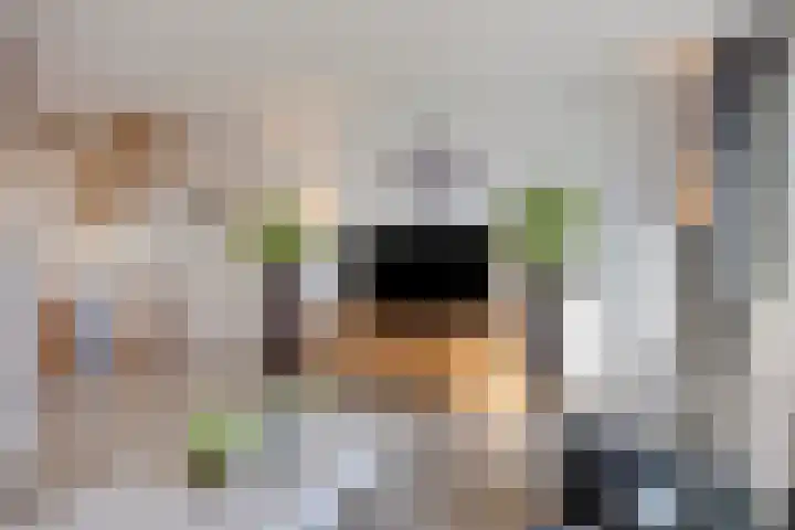 Gildenburg 209 Deventer thumbnail 4