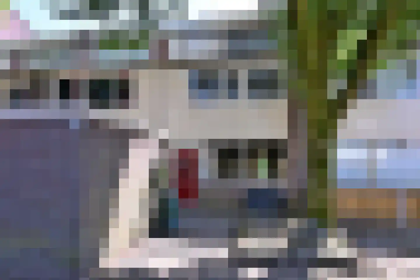 Gildenburg 246 in Deventer