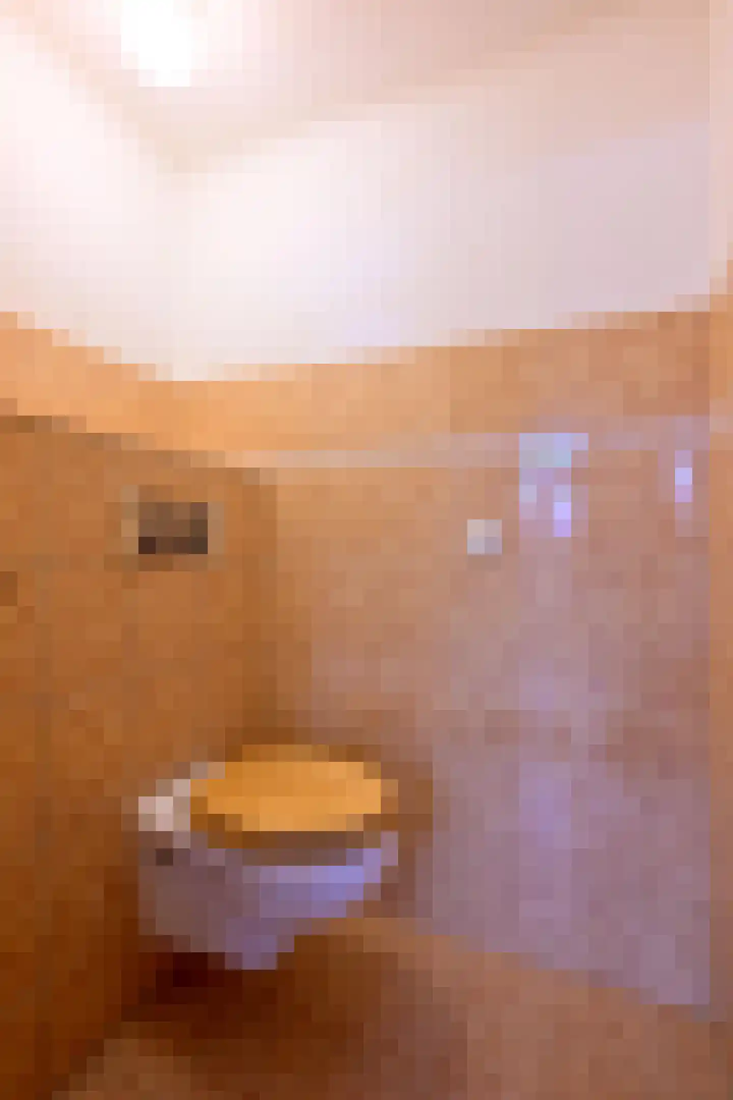 Gildenburg 246 Deventer thumbnail 13