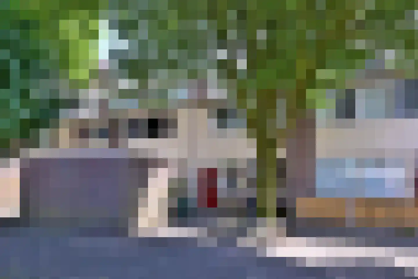 Gildenburg 246 Deventer thumbnail 24