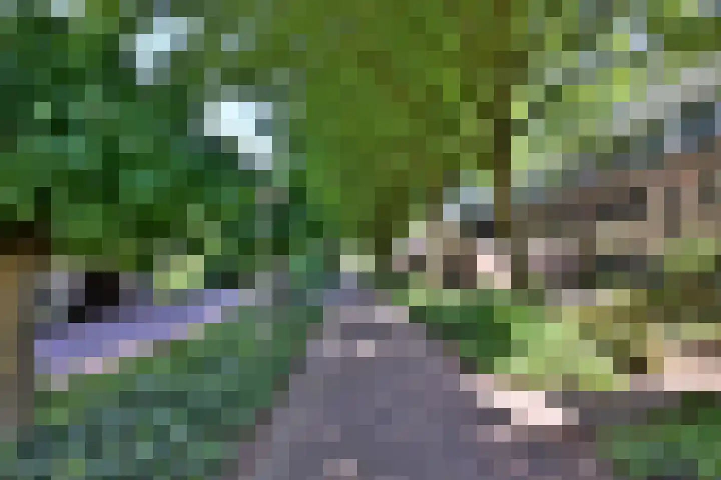 Gildenburg 246 Deventer thumbnail 25