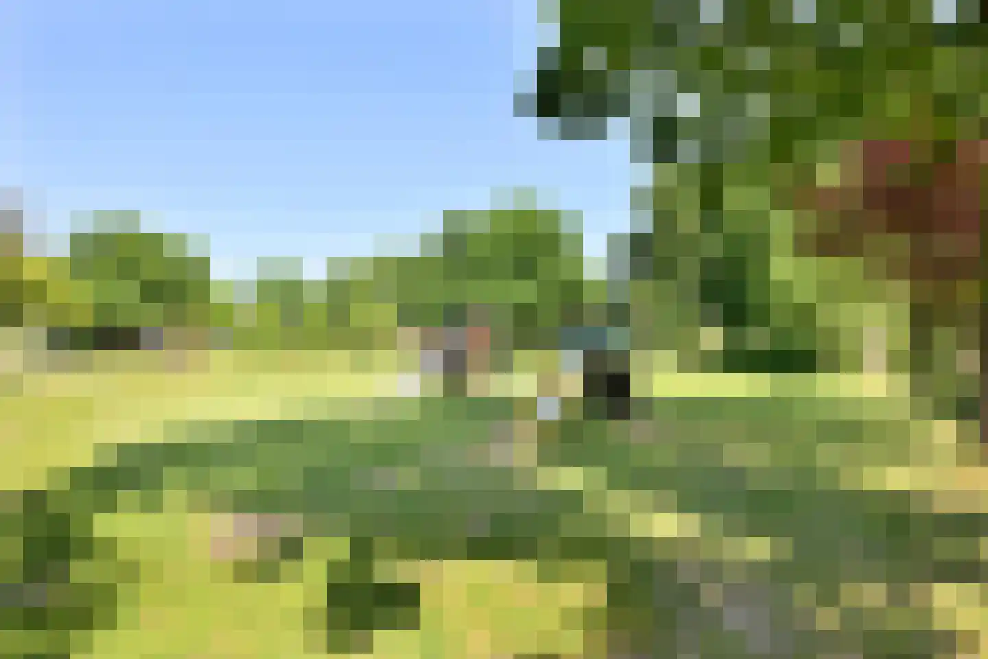Gildenburg 246 Deventer thumbnail 28