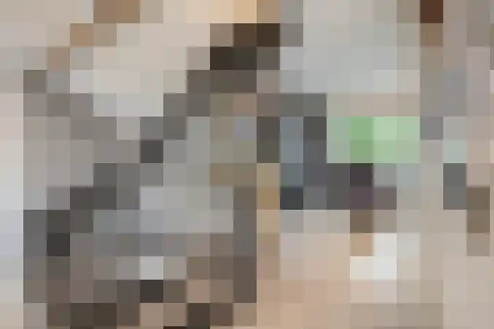 Gildenburg 280 Deventer thumbnail 11