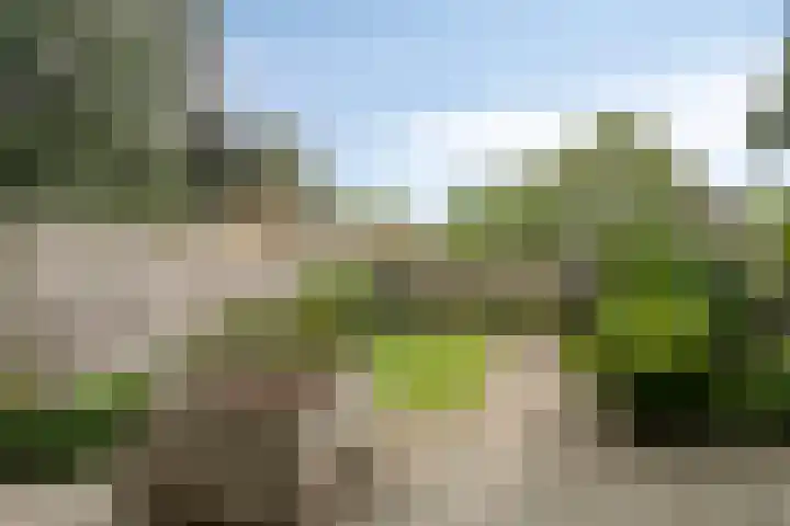 Gildenburg 280 Deventer thumbnail 20