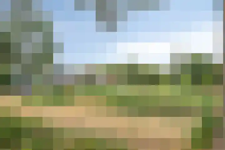 Gildenburg 280 Deventer thumbnail 24