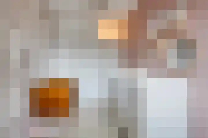 Gildenburg 282 Deventer thumbnail 21