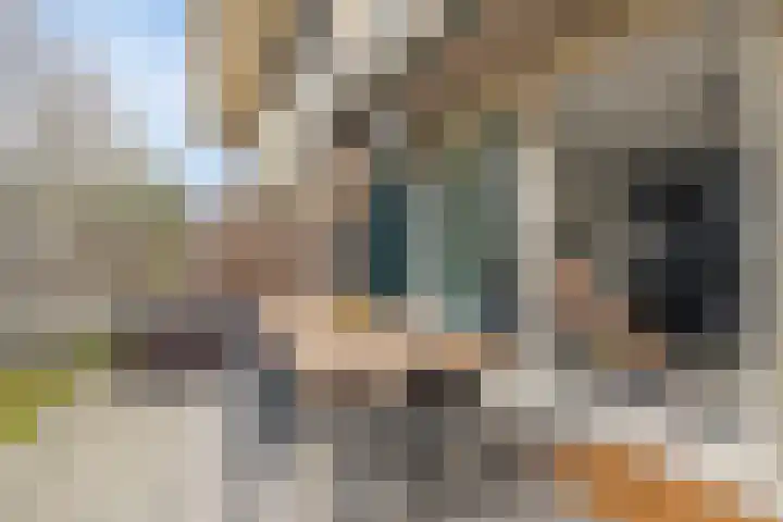 Gildenburg 282 Deventer thumbnail 28