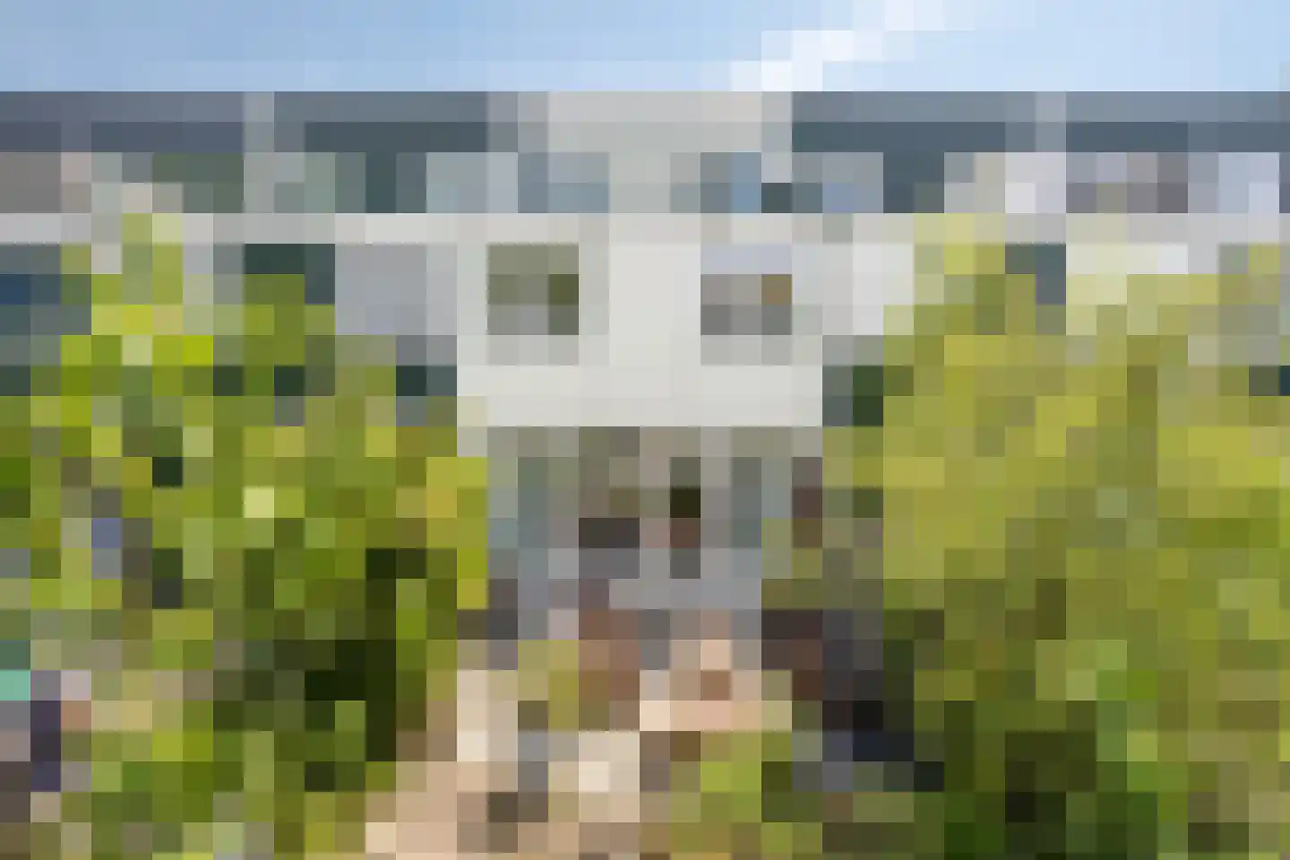 Gildenburg 315 Deventer thumbnail 29