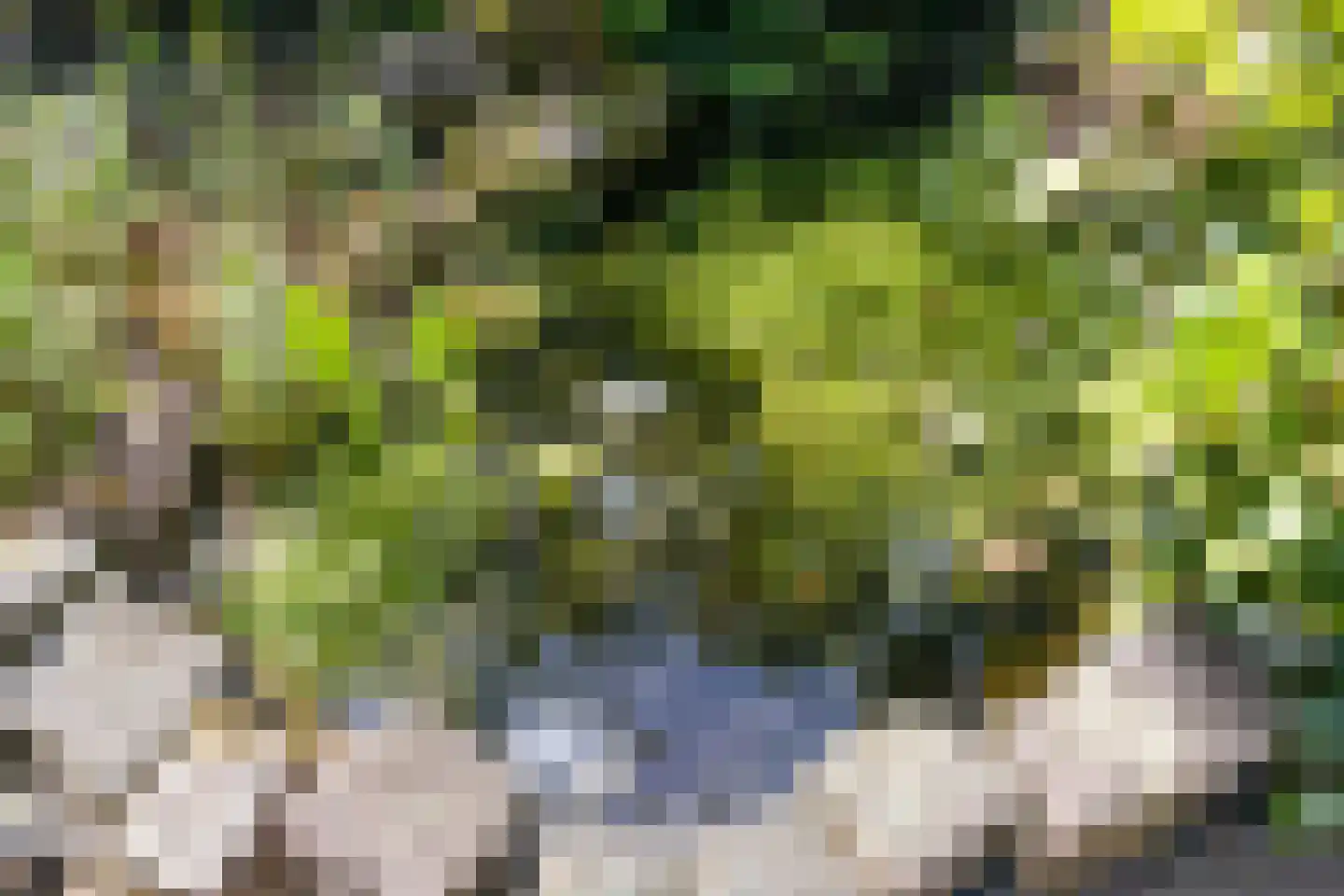 Gildenburg 315 Deventer thumbnail 33