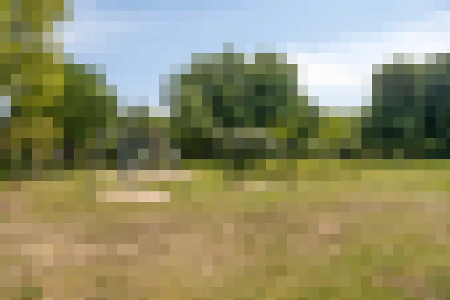 Gildenburg 315 Deventer thumbnail 36