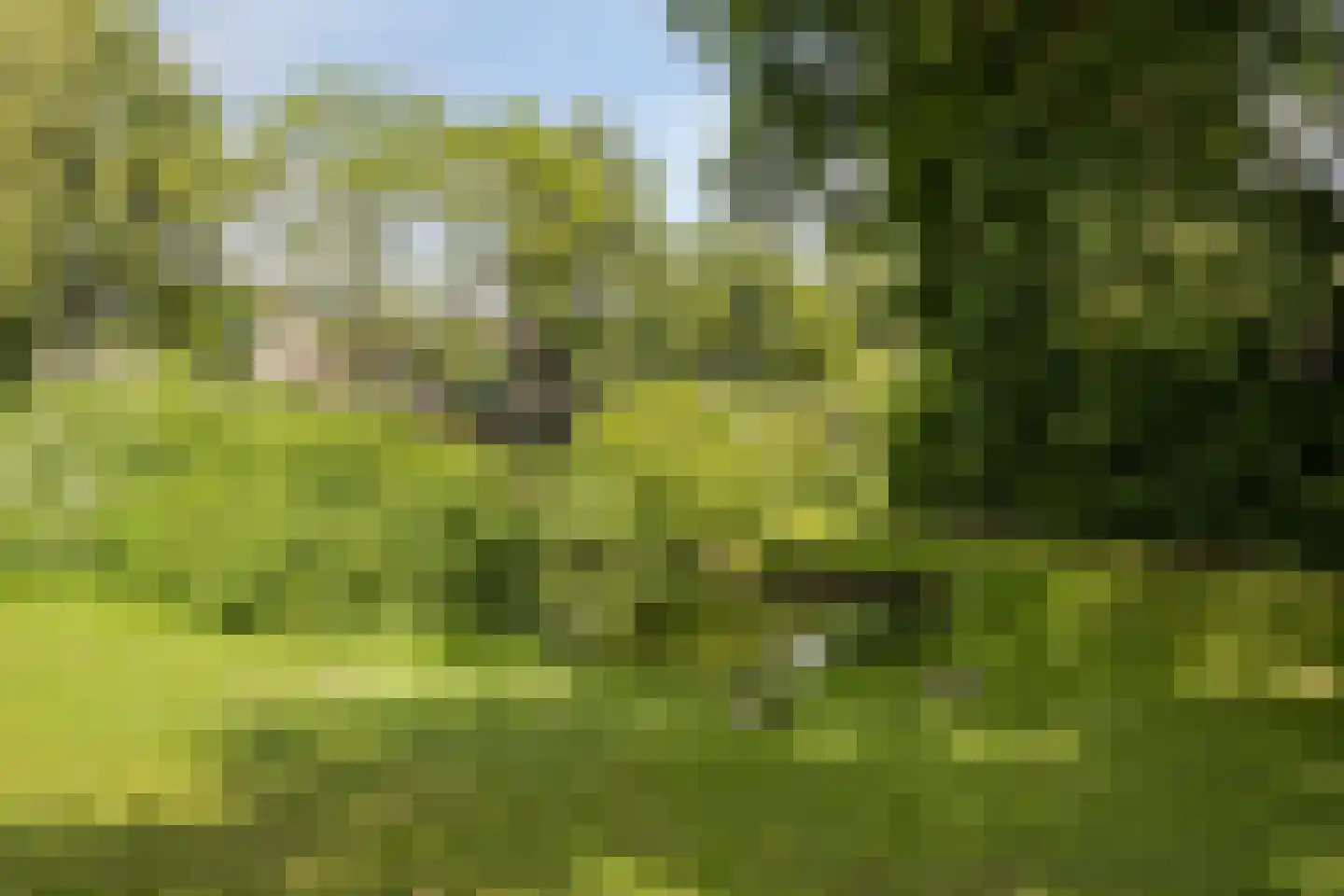 Gildenburg 315 Deventer thumbnail 37