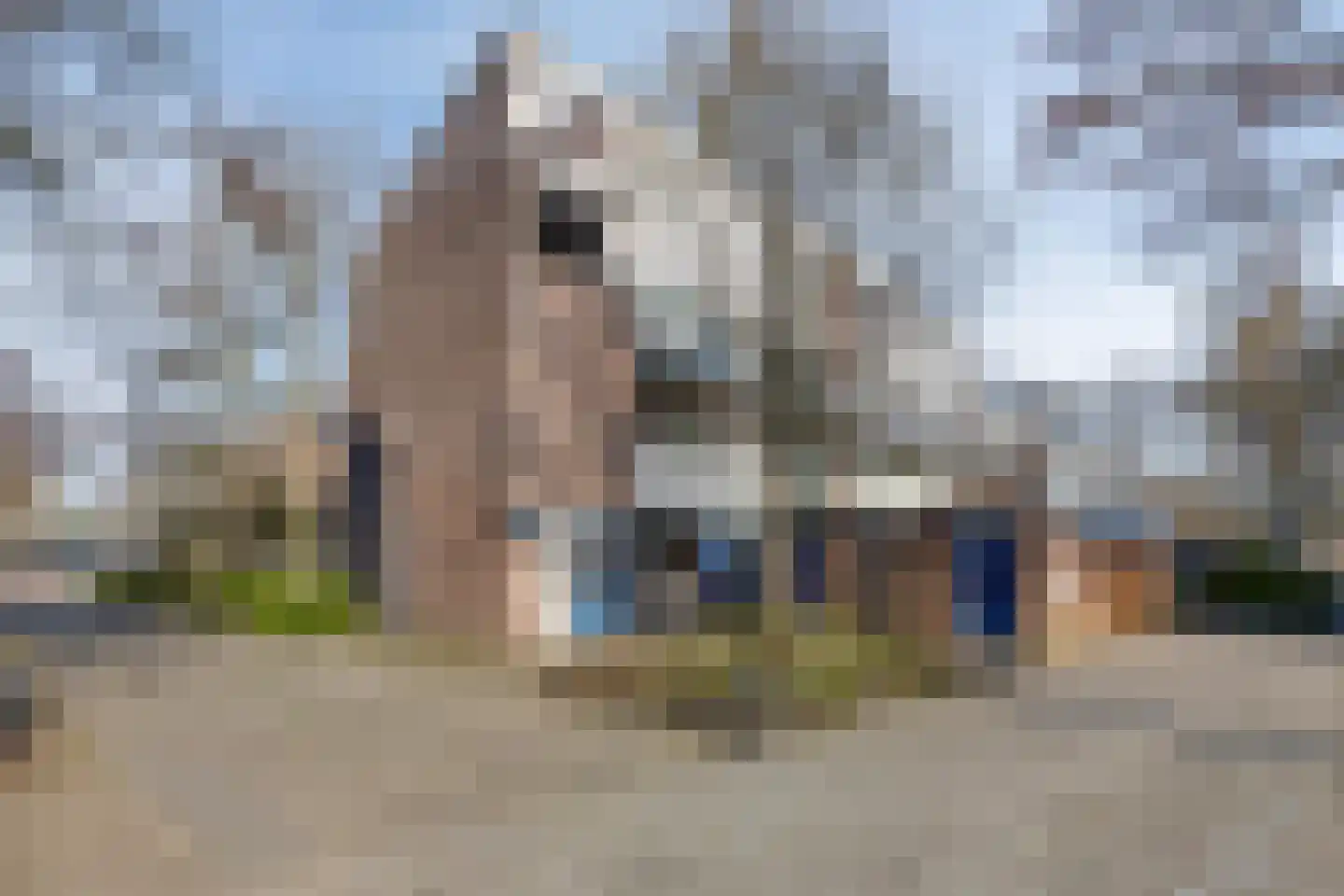 Gildenburg 402 Deventer thumbnail 33