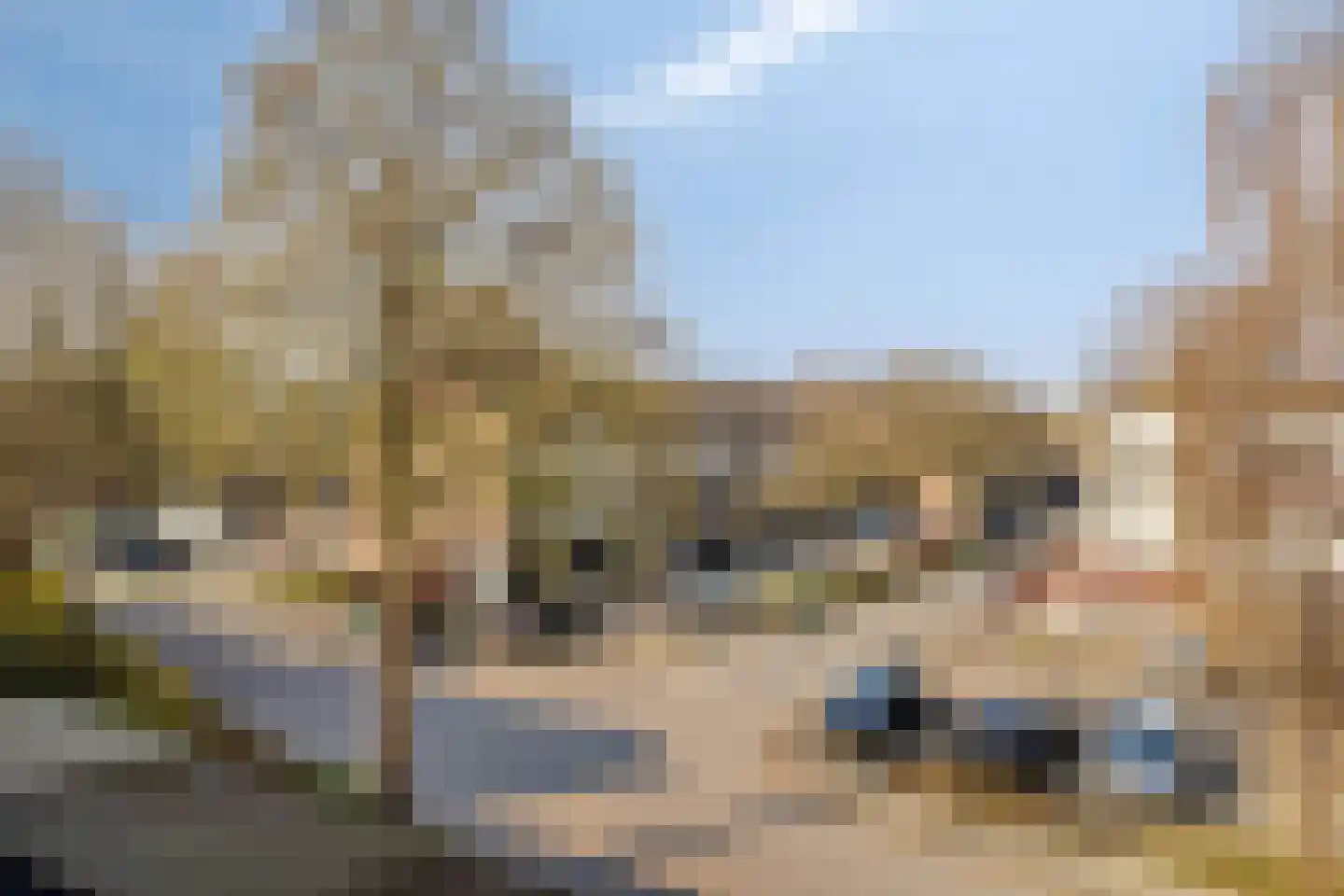 Gildenburg 402 Deventer thumbnail 9