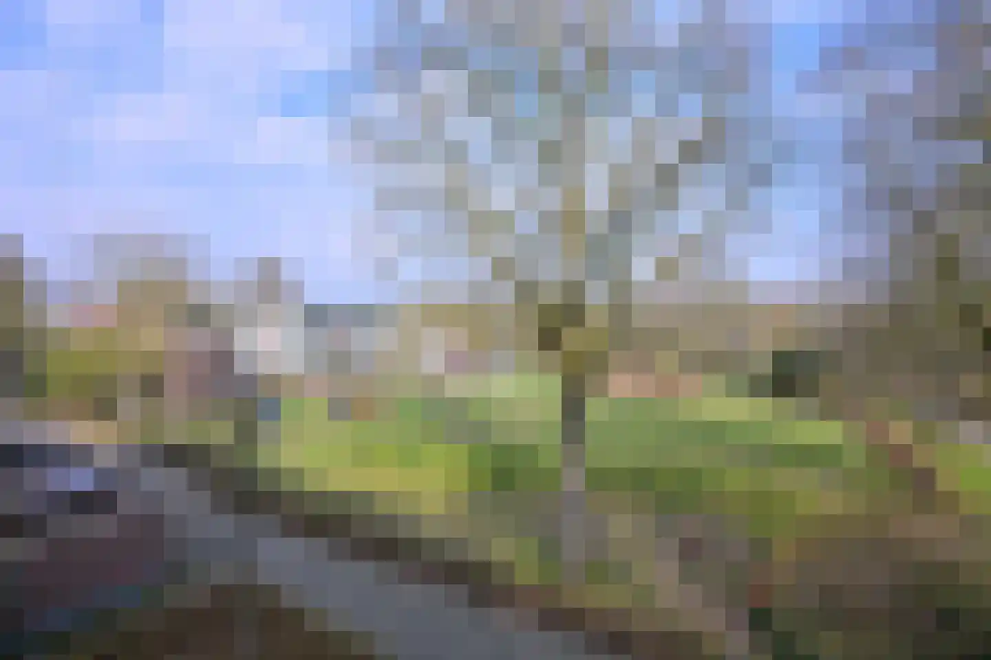 Gildenburg 458 Deventer thumbnail 25