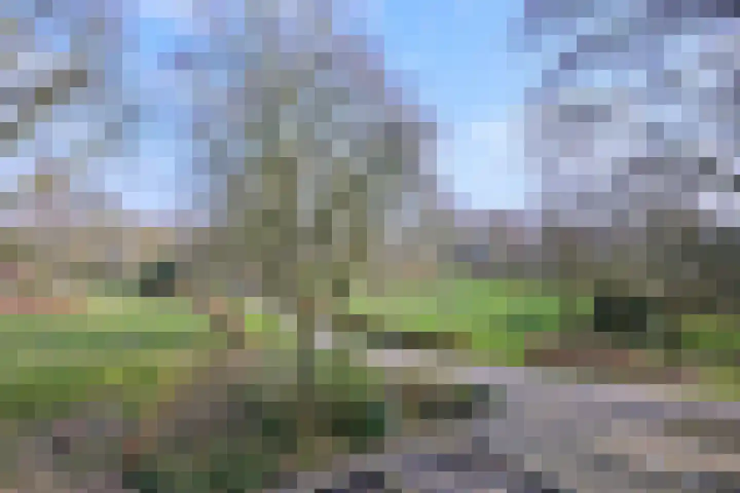 Gildenburg 458 Deventer thumbnail 26