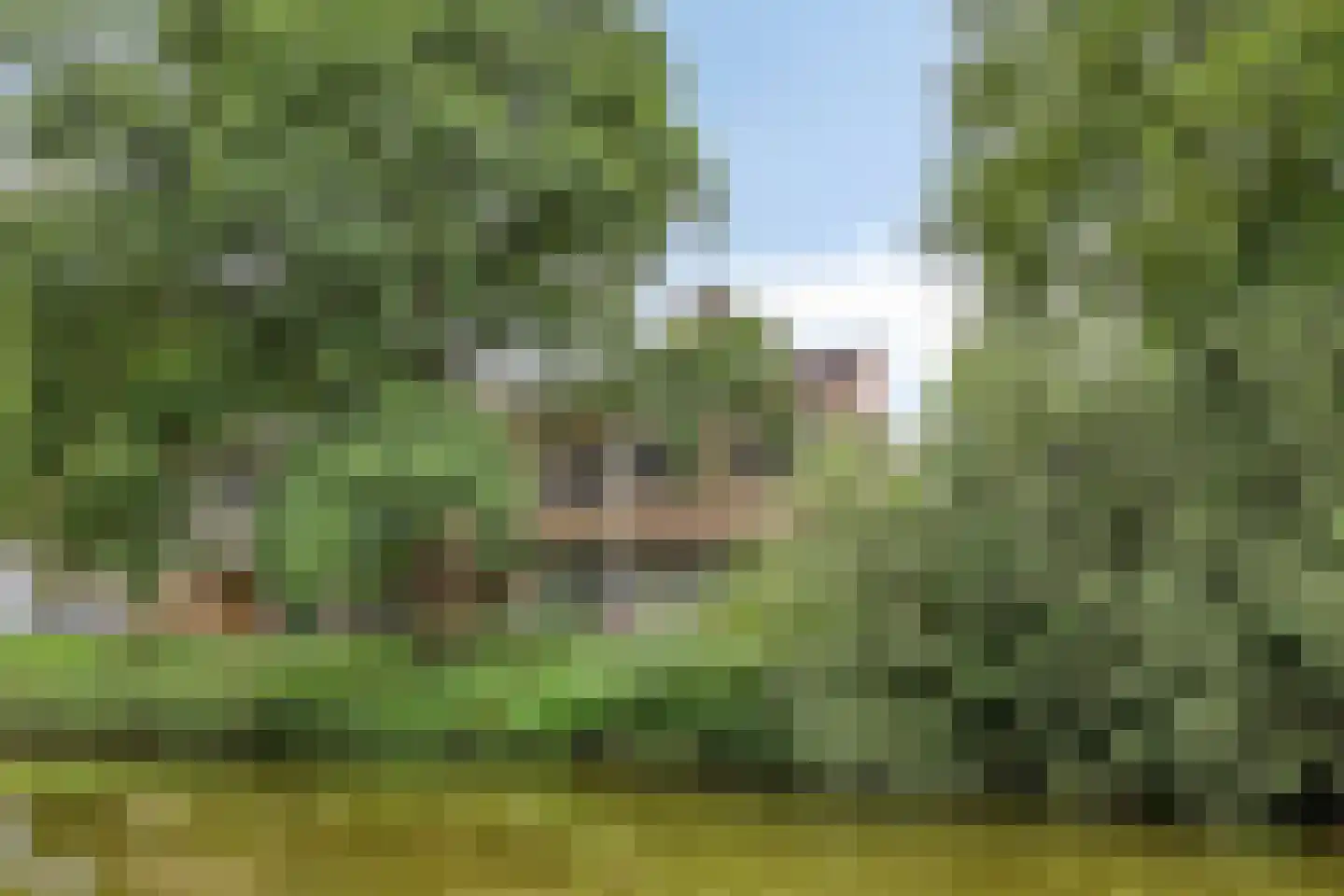Gildenburg 507 Deventer thumbnail 39